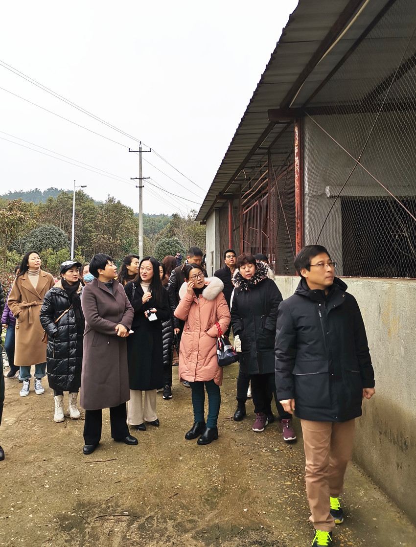 民建迎江区妇工委开展迎“三八”走访女会员暨乡村振兴调研活动