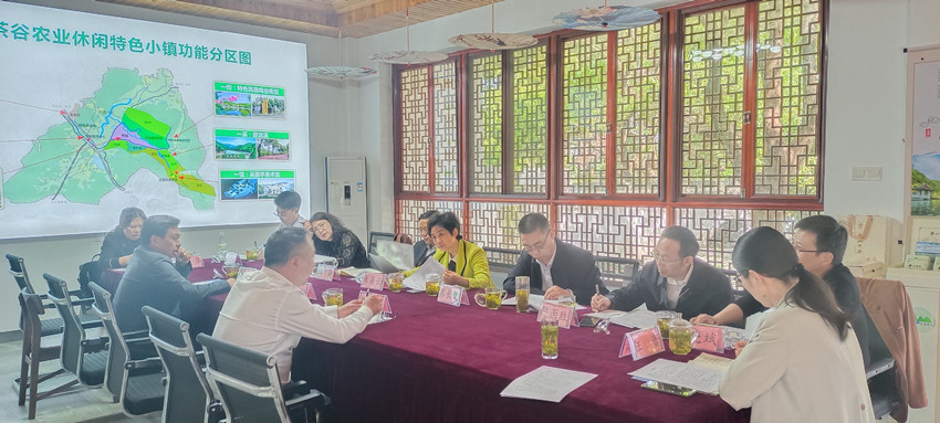 民建安庆市委联合市人大科教文卫工委、宗侨外工委赴五横乡杨亭村开展乡村振兴调研