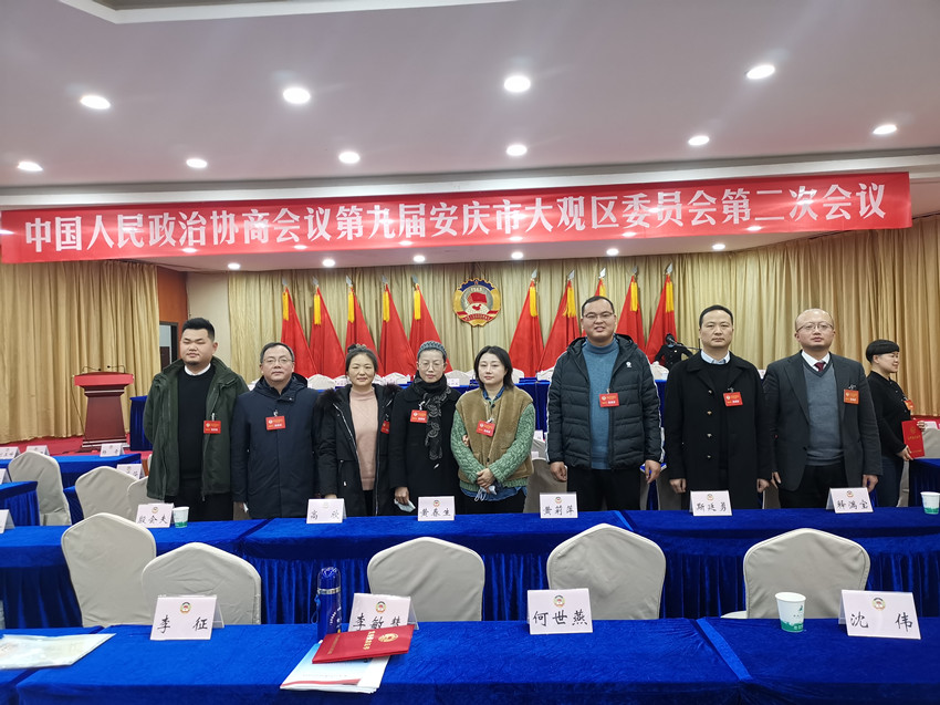 自当扬帆破浪，还需策马扬鞭 ————大观民建会员参加区政协九届二次会议