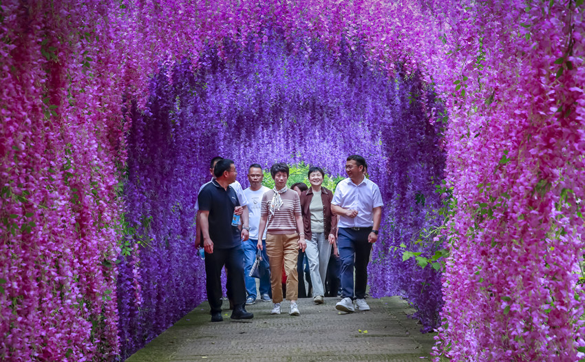 朱菊云赴宜秀区调研安庆乌龙溪景区