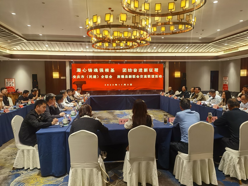 安庆市（民建）企业家联谊会赴宣城市旌德县开展“凝心铸魂强根基、团结奋进新征程”主题教育