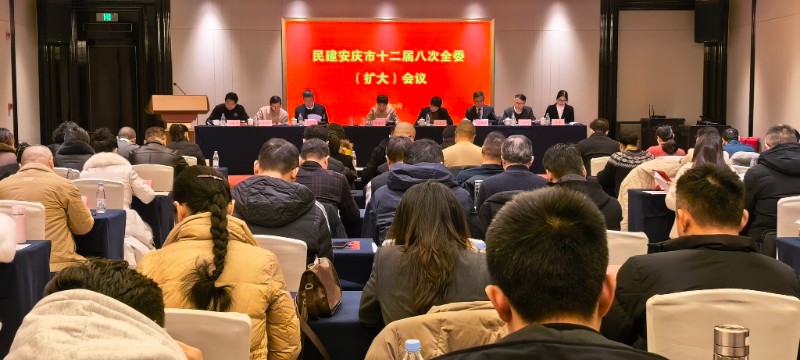 1民建安庆市十二届八次全委（扩大）会议胜利召开